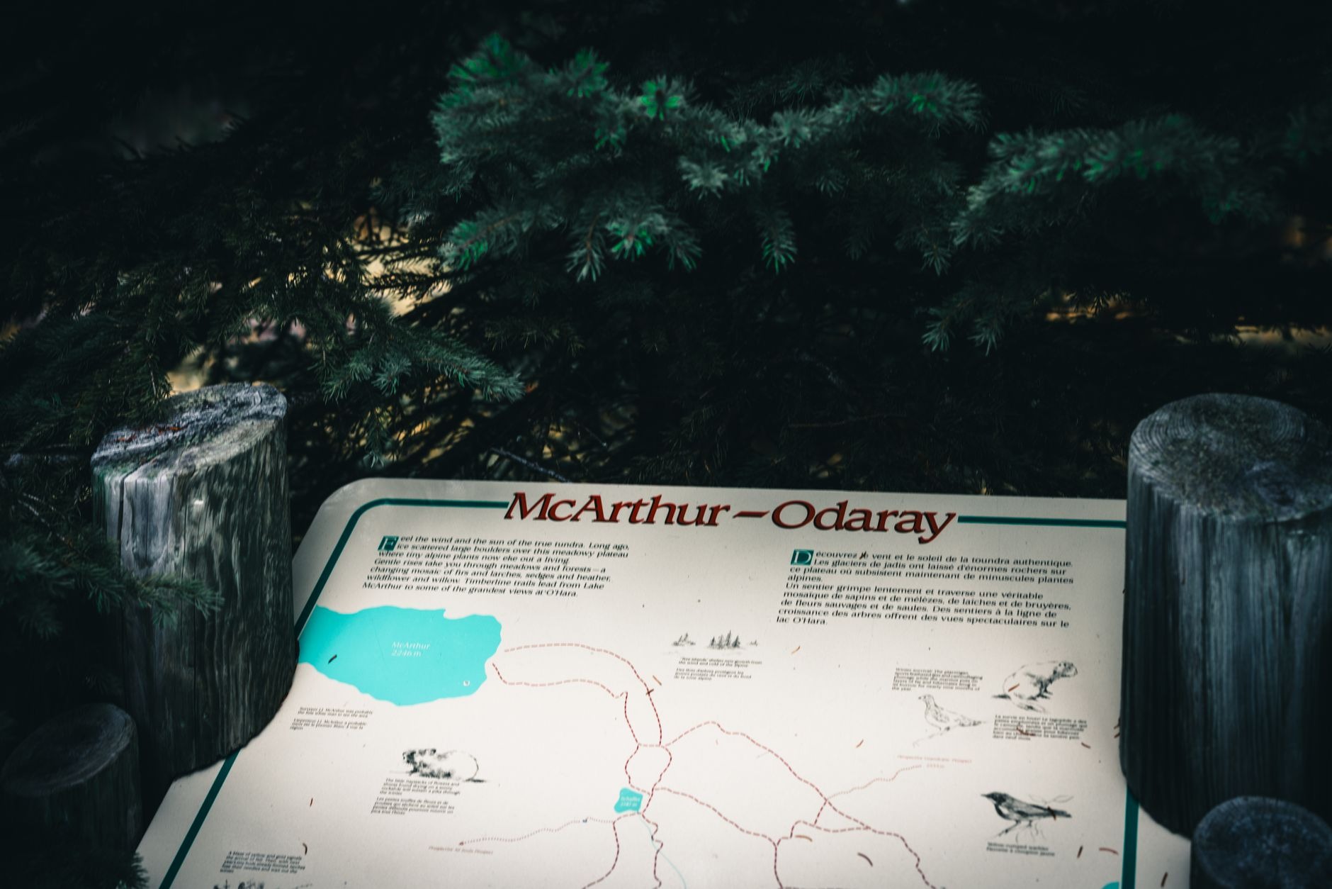 A trailhead information board with a printed trail map behind glass
