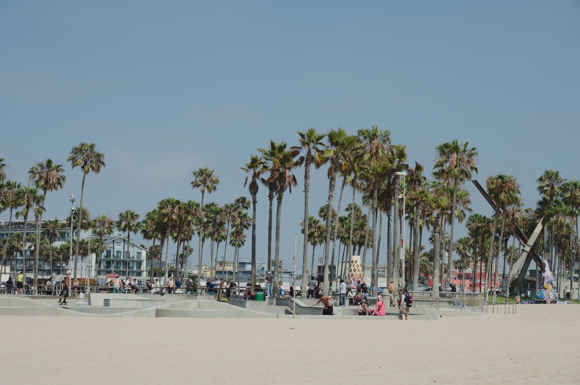 People on the sand at Venice Beach on a sunny day with a line of palm trees behind them